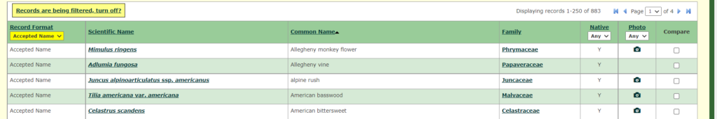 A screen shot of New York Flora Atlas highlighting how the search data is displayed.