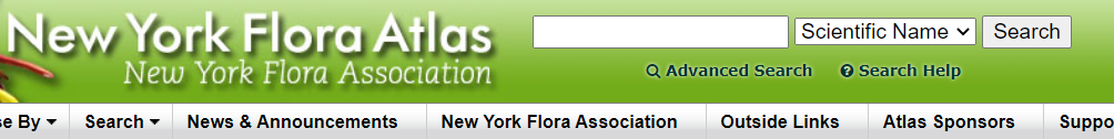 A screen shot of what the search feature from New York Flora Atlas by the New York Flora Association looks like.