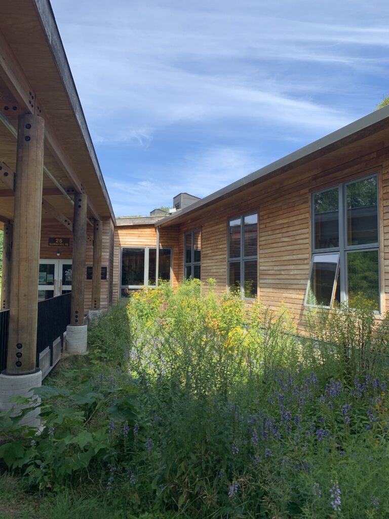 Raingarden with native plants nestled in-between the main walkway and the building.