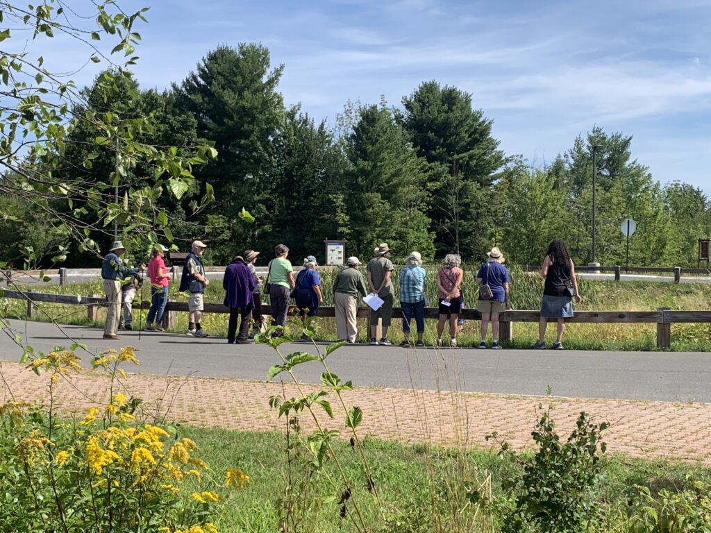 The group listening to Robin discuss the plants in the middle of the roundabout in the parking lot.