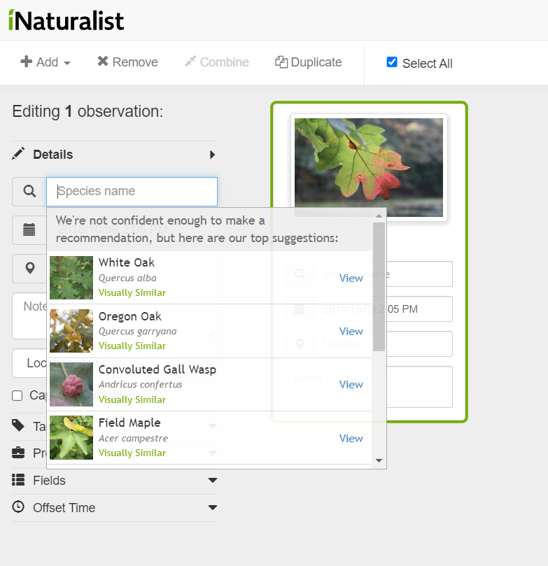 Screen Shot of what an photo uploaded for a new native plant observation in iNaturalist looks like. It will look different on a smartphone
