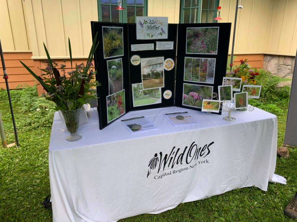 Wild Ones Capital Region NY display table complete with native plant floral arrangements. Image for Media Kit and encouraged for the press to use.