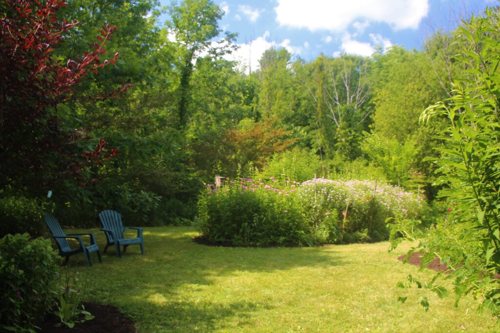 Tim Kenelty's home garden where he was shrinking the lawn with native plants well before he made the decision to join Wild Ones.