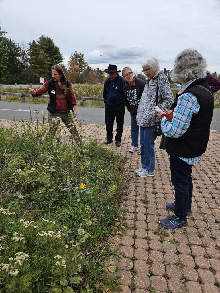 Members and guests at Five Rivers Environmental Education Center learn to identify native plants in their fall glory!