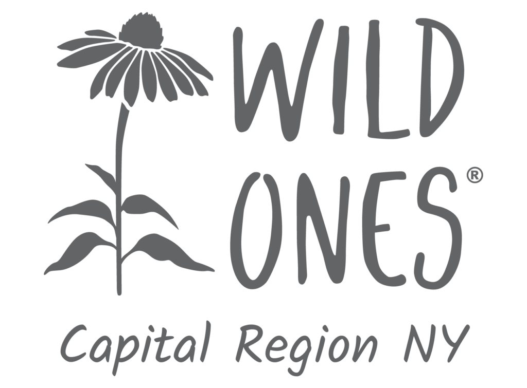 Wild Ones Capital Region NY