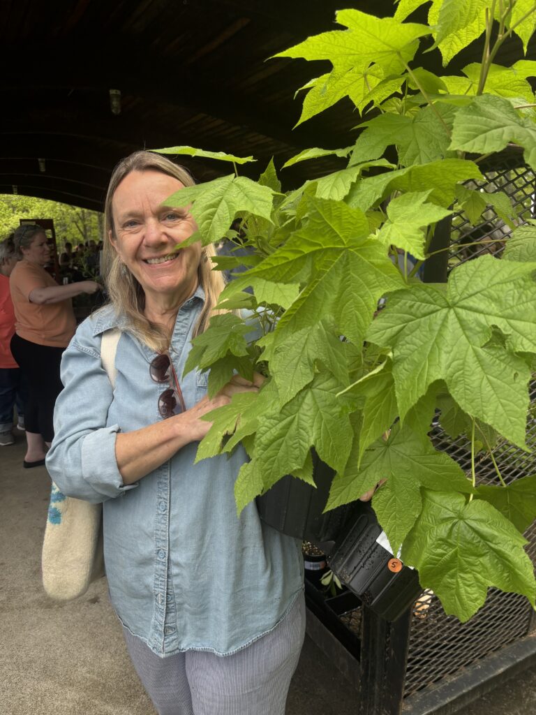 A native plant gardener with her new shrub at the 2025 Thacher Native Plant Sale.