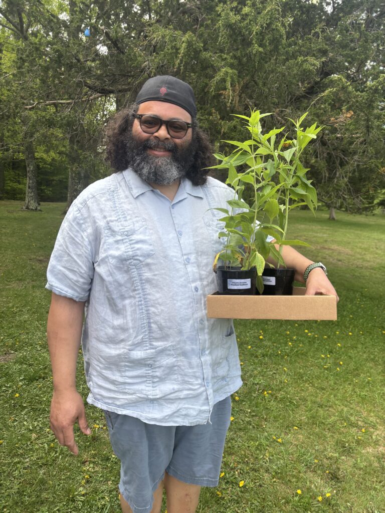 A gardener carries his new plants at the 2025 Thacher Native Plant Sale.