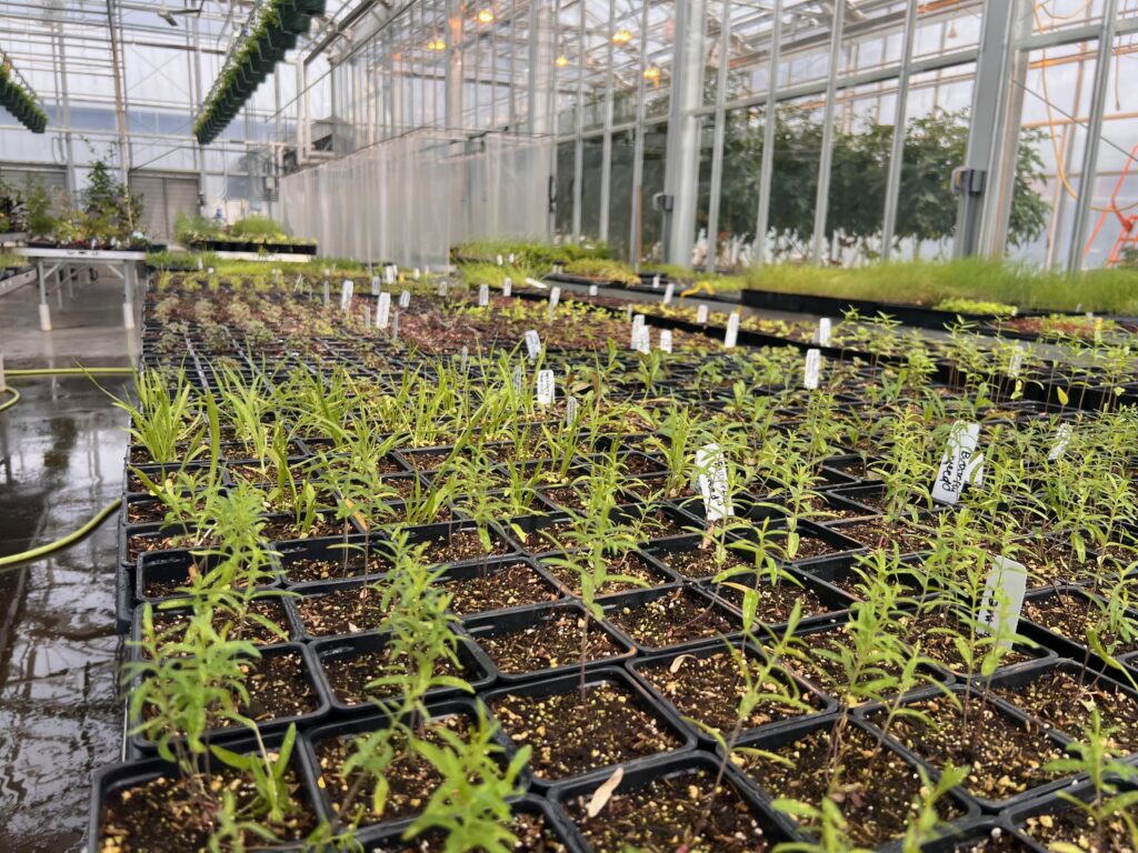 State University of New York College of Agriculture and Technology at Cobleskill